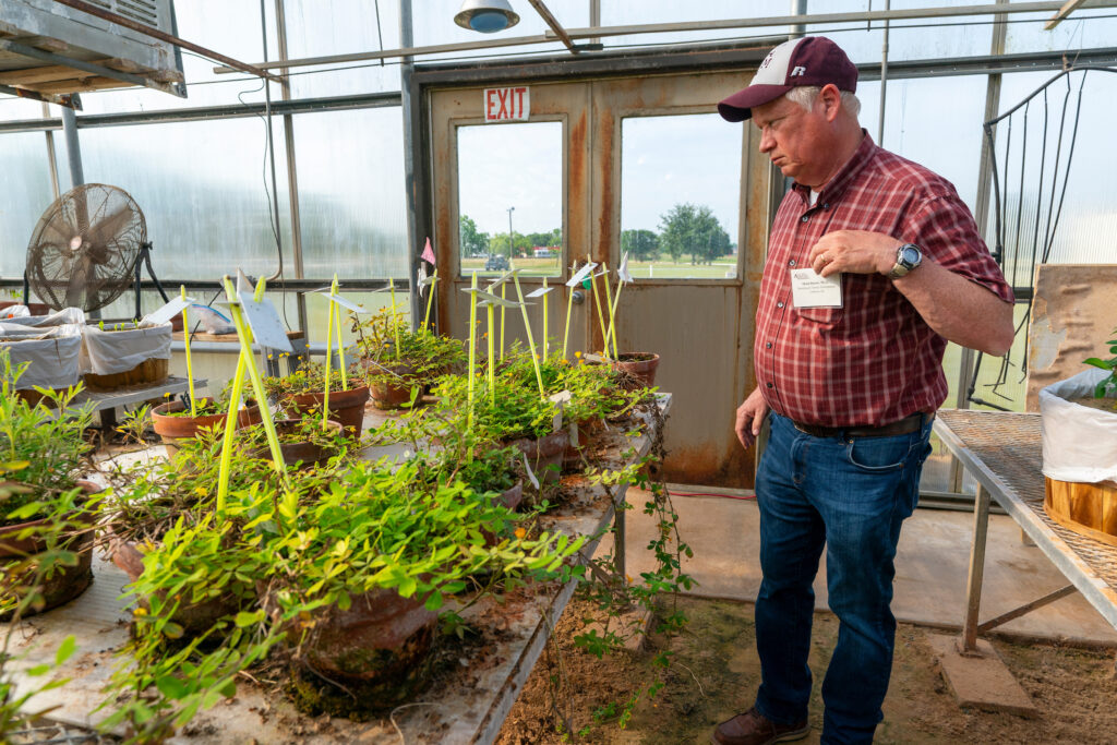 man in maroon shirt standing by a variety of plants that are sitting on a table