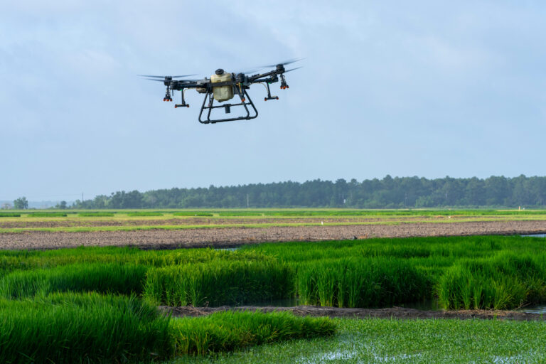 Graduate Degrees - Department of Soil and Crop Sciences