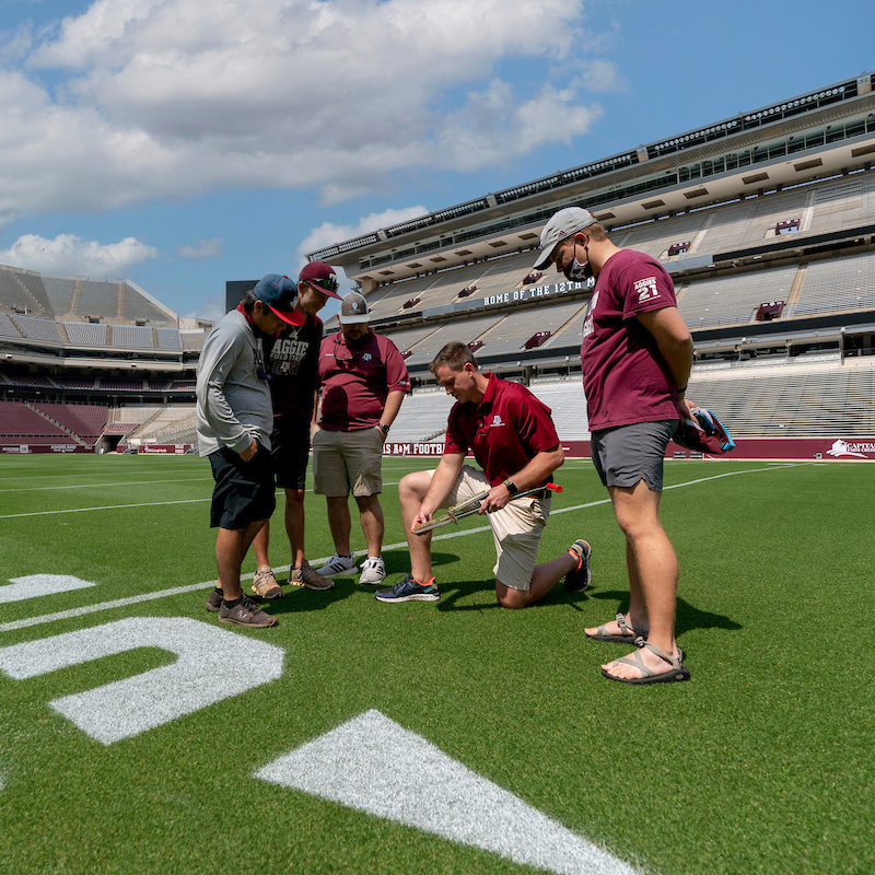 Five men standing in Kyle Field examining the turf grass.