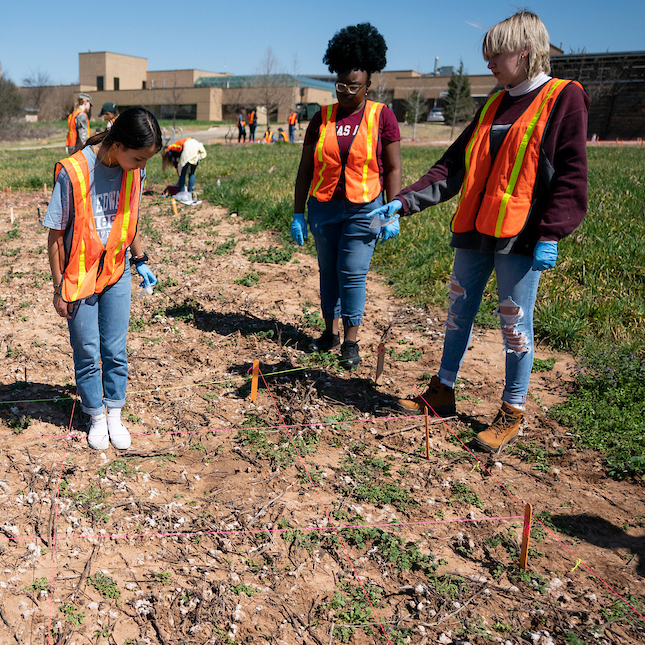 Three students wearing high visibility vests analyze soil