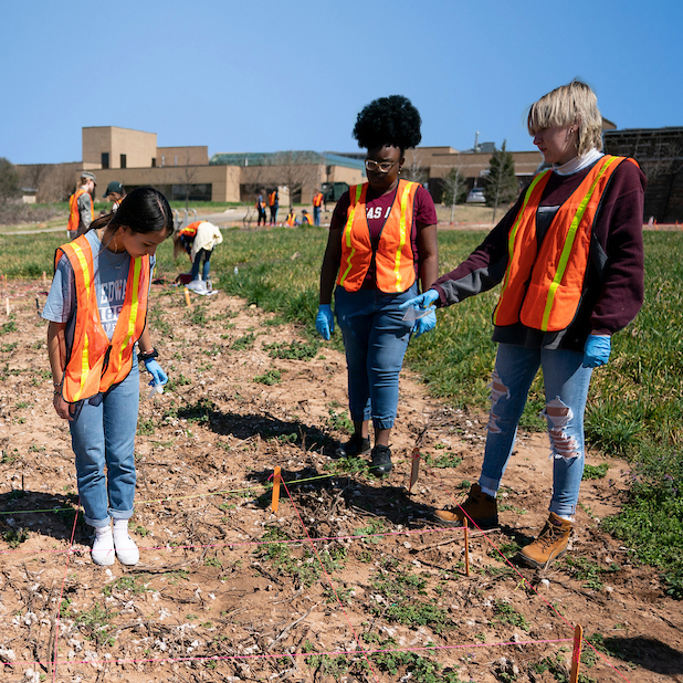 Three students standing on top of a patch of dirt wearing high-visibility vests