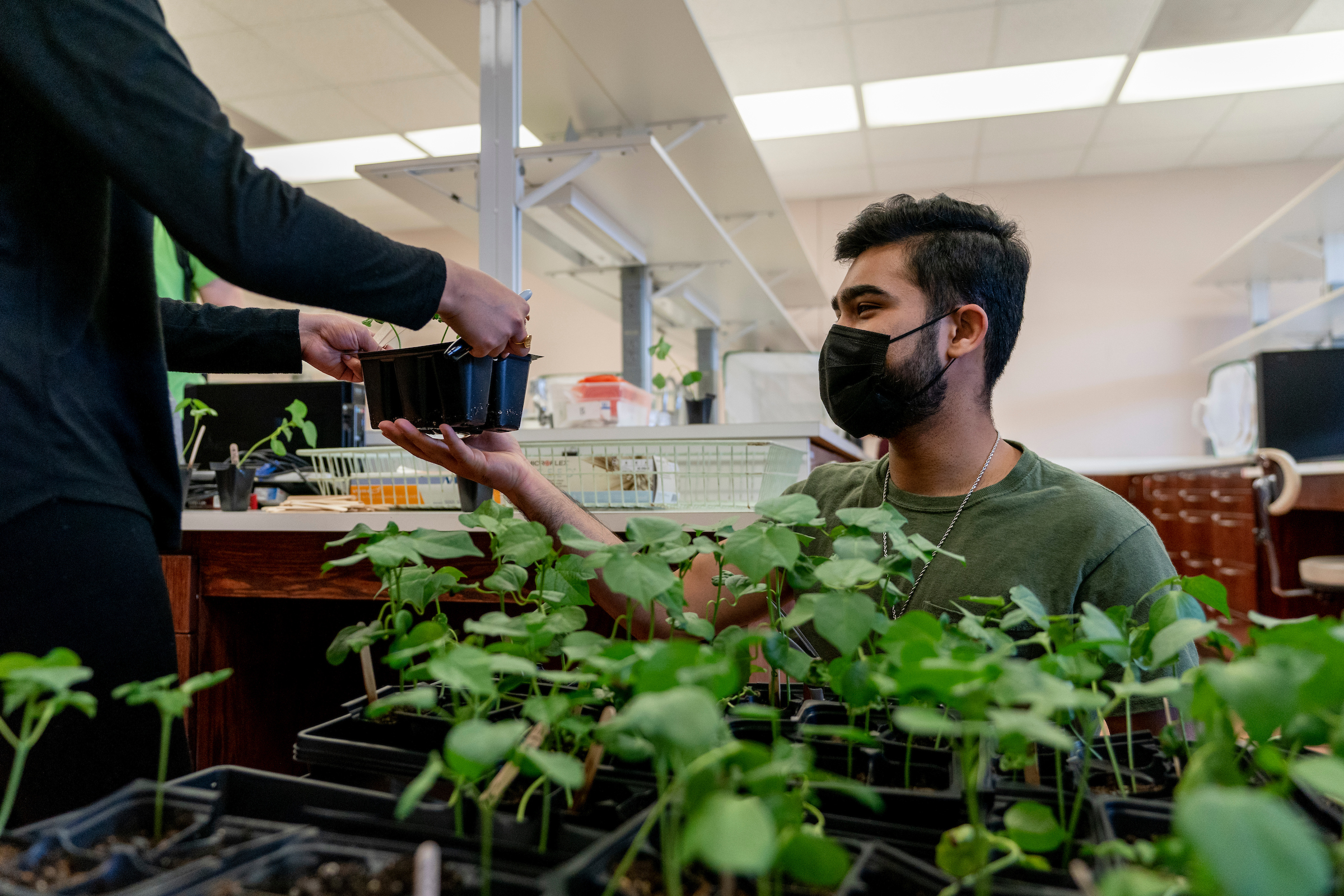 Student wearing a mask being handed a potted plant surrounded by other potted plants