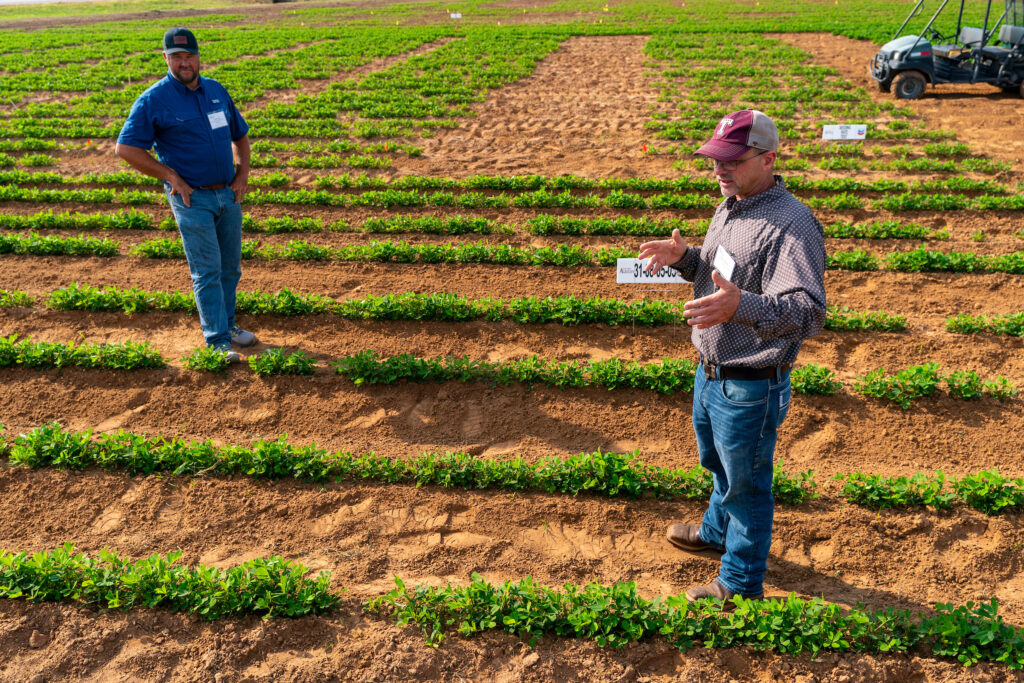 Two men standing in the middle of newly planted rows of crops