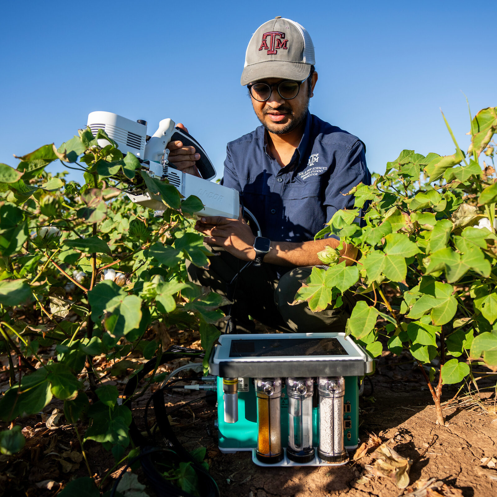 Man crouching next to crops examining the soil.