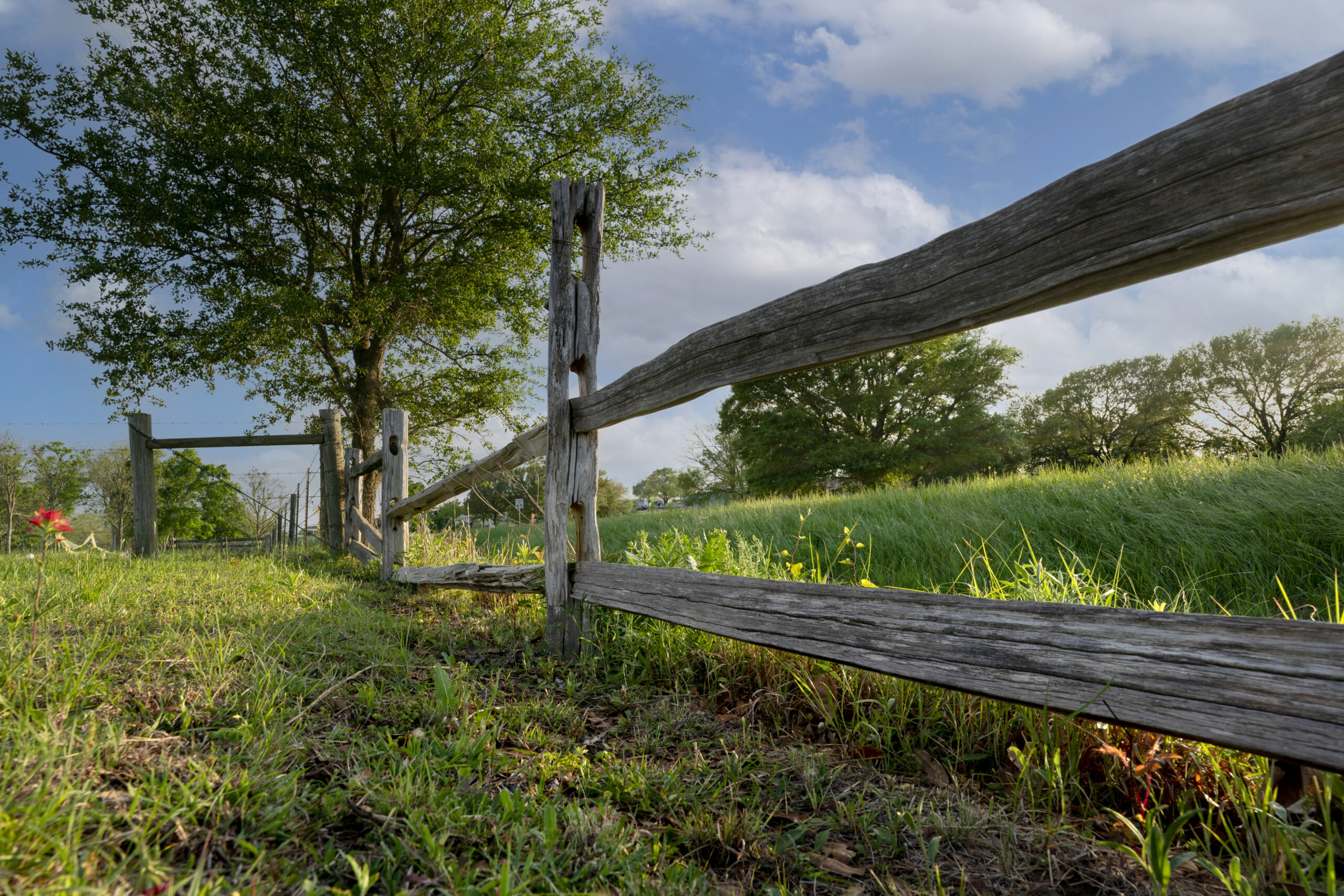 A wooden fence surrounded by beautiful greenery and trees