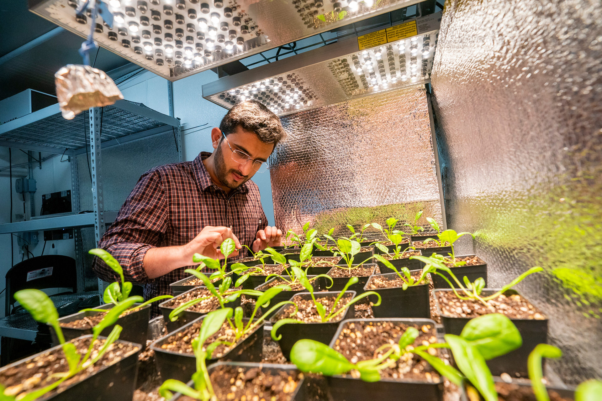 man standing over plants in a lab