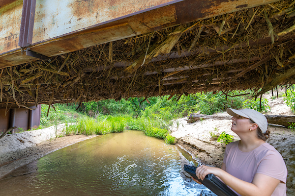 A female researcher with a clipboard inspecting a waterway