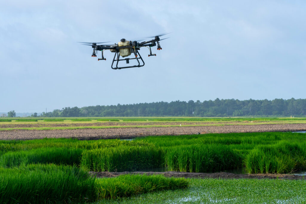 Drone flying over a wet crop field