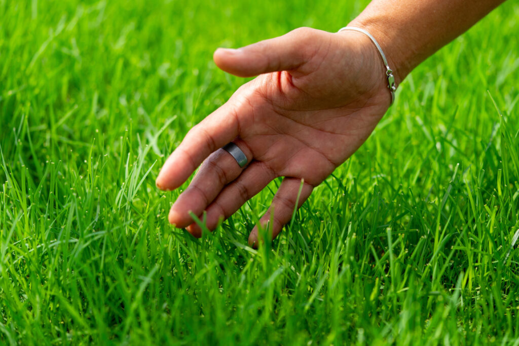 Hand touching grass.